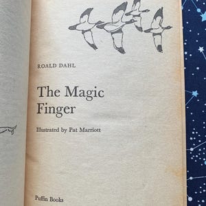 The Magic Finger by Roald Dahl - Etsy