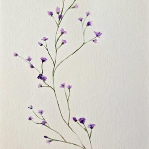 Acquerello originale dipinto a mano 17 x 24 cm su carta da acquerello - Perfetto da incorniciare o come biglietto di auguri - Opera d'arte unica, quadro floreale
