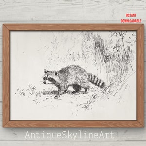 Vintage Waschbär Skizze, Kunst DRUCKBAR, Bleistiftzeichnung, BleistiftCowboy, Berghaustier Landschaft, herunterladbares Wohnzimmerbild, Waschbär