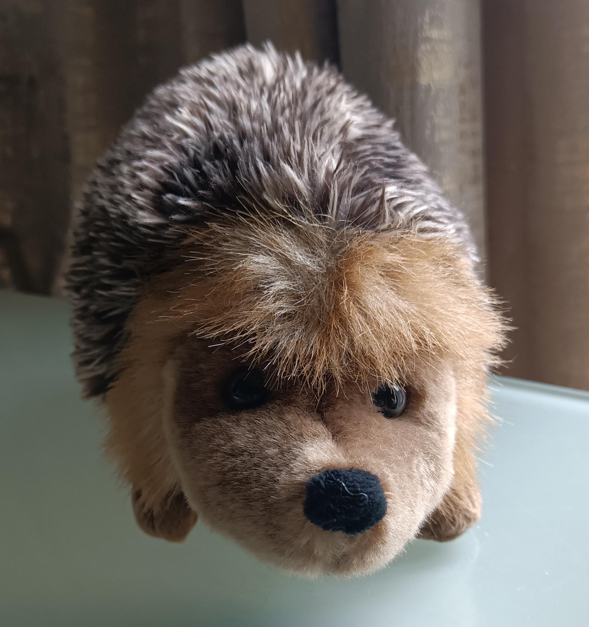 Toy Hedgehog Vintage UK