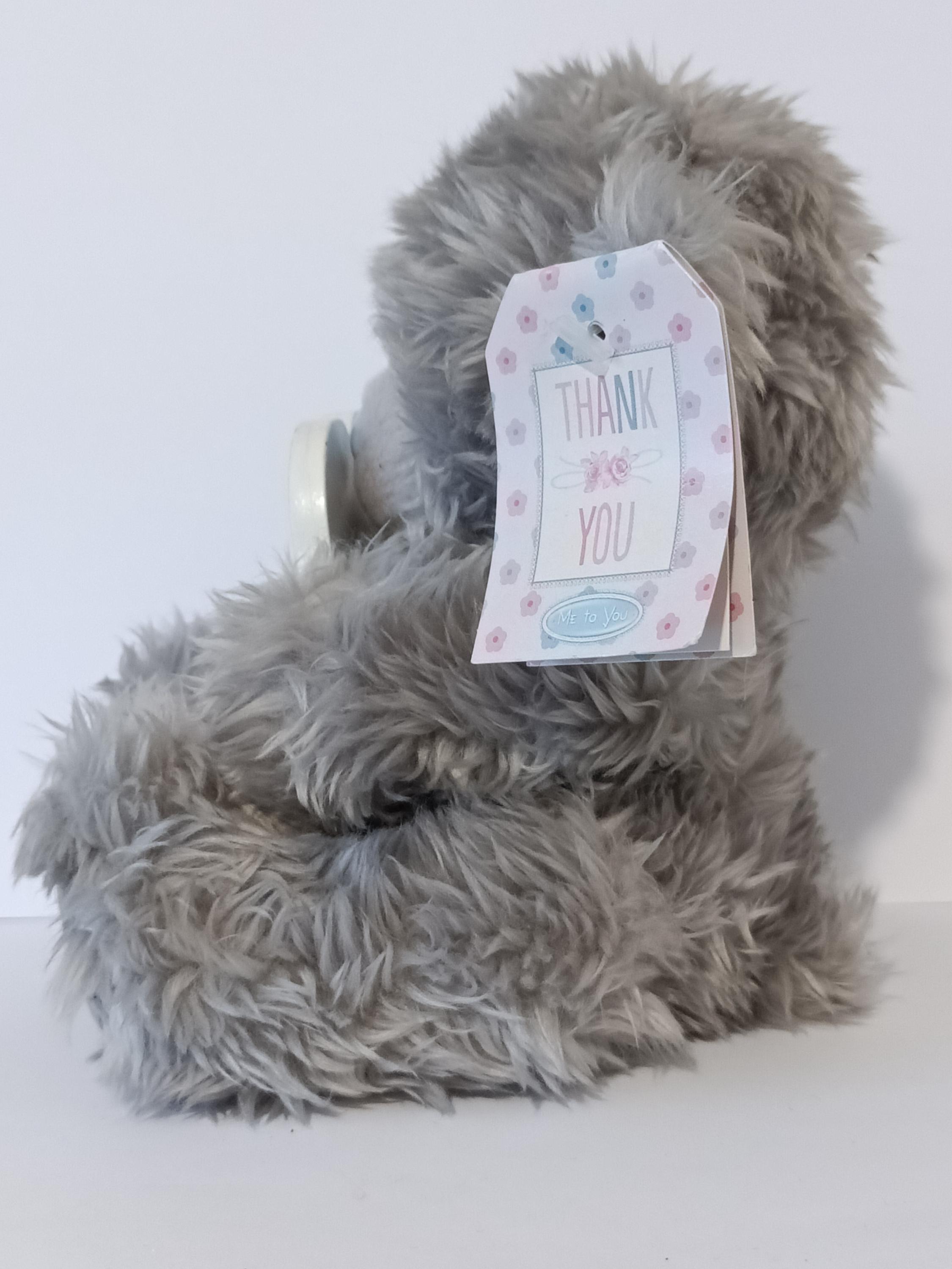 Me To You Tatty Teddy Plüschbär 'Thank You Teacher' – 15 Cm Hoch, Offizielle Kollektion