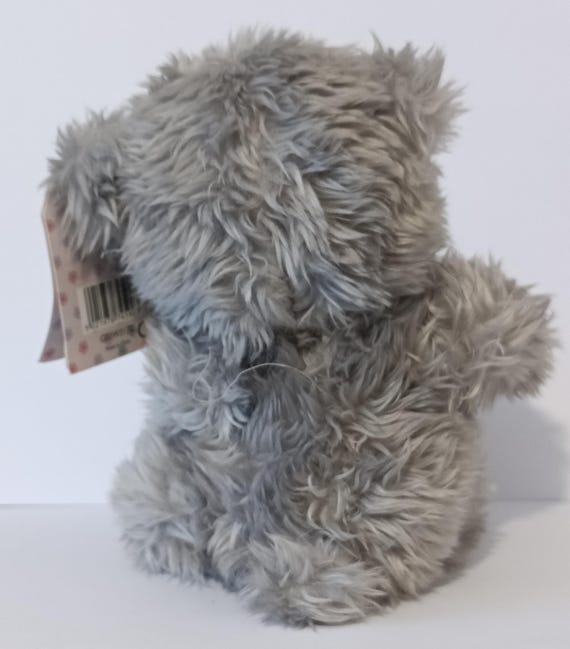 Me To You Tatty Teddy Plüschbär 'Thank You Teacher' – 15 Cm Hoch, Offizielle Kollektion