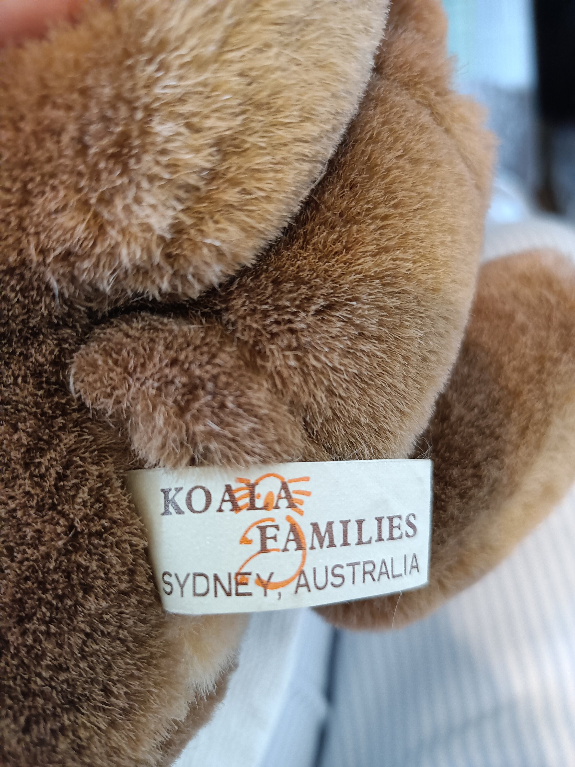 Australische koalafamilie. Knuffelset kangoeroe met Joey - 25 cm  Knuffelsouvenirs. Vintage speelgoed. - Etsy België, image size:2250x3000