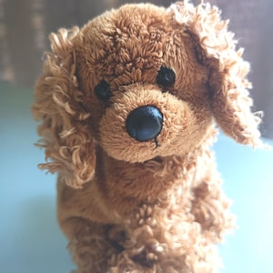 Ty Frolics the Dog Beanie Baby 2.0