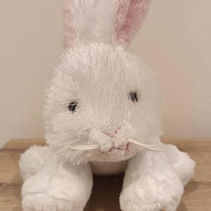 Pode incluir: Um coelho de pelúcia branco com o interior das orelhas rosa e um nariz rosa. O coelho tem olhos pretos e longos bigodes brancos. O coelho está sentado em uma superfície de madeira. É um bicho de pelúcia.