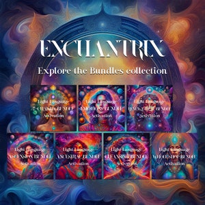 Explore the Bundles collection