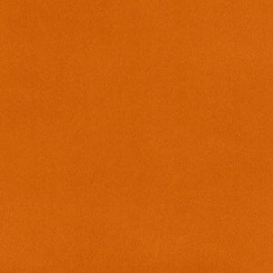 Ginger Extra Wide Cuddle® by Shannon Fabrics by the yard 4430