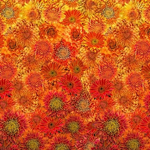 Autumn Ombre Metallic Mums with Metallic Harvest by Timeless Treasures by the YARD