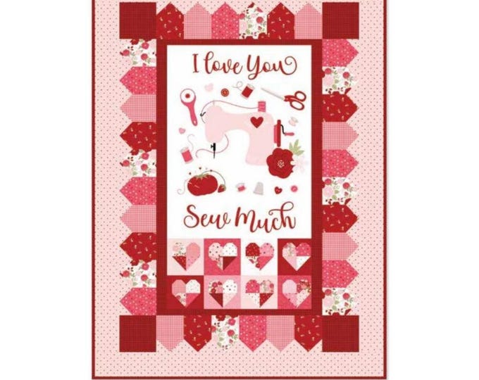Sew in Love Panel Quilt Kit – Riley Blake Designs Includes Pattern, Top ...
