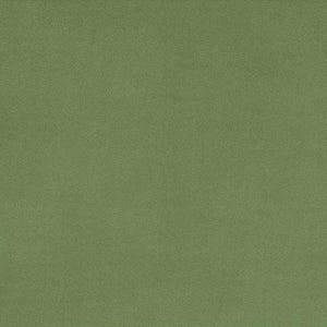 May include: A solid olive green rectangular item with rounded corners. The surface has a subtle, textured appearance. The item is a single color and appears to be a solid piece of material.