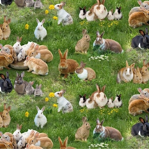 Elizabeth&#39;s Studio - Farm Animals - Rabbits Green by the yard 3099