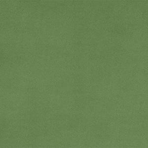Basil Extra Wide Cuddle® by Shannon Fabrics Meterware 4429