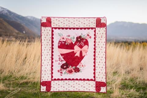 Love You Always Panel Quilt Kit by Sandy Gervais for Riley Blake - Etsy
