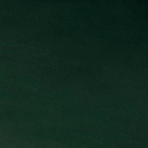 Shannon Fabrics - Solid Cuddle® 3 Spruce by the yard