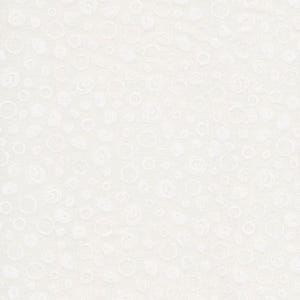 Scribble Spots - Basic Black + White von Patrick Lose für Northcott Fabrics Meterware 3161 5000