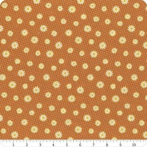 Peut inclure: Un tissu brun avec un motif de marguerites blanches. Le tissu mesure 10 pouces de large et comporte une règle pour l'échelle.