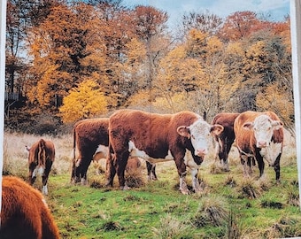 Cow Hereford Autumn Cows fabric panel 36&quot;x44&quot;