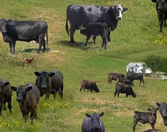 Elizabeth&#39;s Studio - Farm Animals - Angus Cows/White Barn Green by the yard 3097 3098