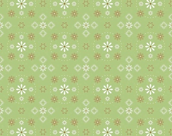 Retro trapuntato largo 108" - Bee Backings & Borders di Riley Blake - Verde tagliato su misura 3549