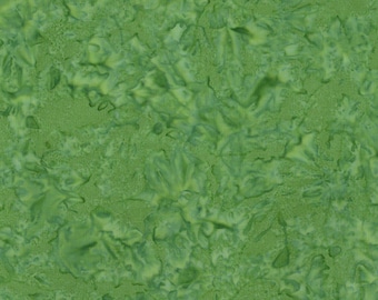 Tissu par mètre - Teintures à la main Expressions Batiks - Garden Party par Riley Blake 5911