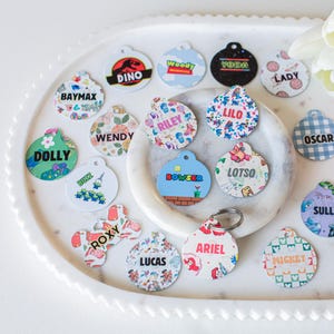 Pixar/Disney Personalized Pet Tags / Personalized Pet Tags