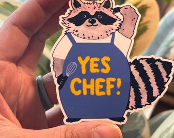 Yes Chef! Raccoon