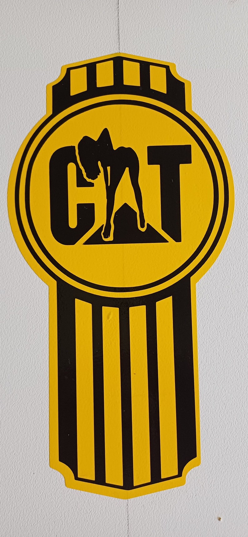 KENWORTH CAT BUG image 1