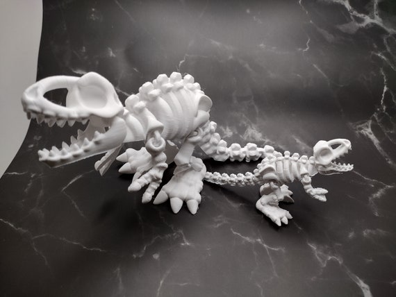 Purchase dinosaur bones hotsell