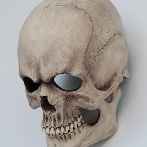 Full head angry skull mask with movable jaw