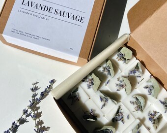 Scented Melts with Rapeseed Vegetable Wax