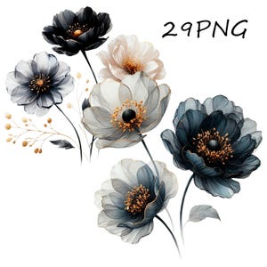 Black & Gold Flowers PNG: Scrapbooking Illustrations (Digital Download)