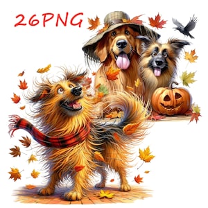 Retriever images, unusual charm, for your creative pursuits, for printing on any objects, 26 PNG images with transparent background
