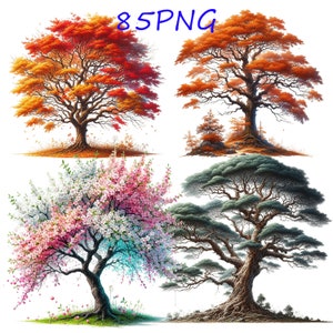 Clipart di alberi: 85 illustrazioni botaniche PNG (download digitale)