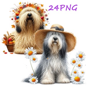 Funny Komondor, unusual images for your creativity, can be printed on any objects, 24 PNG images with transparent background