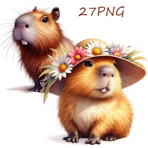 ensemble d'images mignonnes de capybaras, capybaras drôles, images inhabituelles pour votre créativité, peuvent être imprimées sur n'importe quel objet, 27 PNG fond transparent