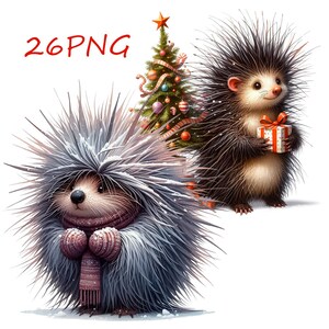 Funny Christmas Porcupine PNG Clipart: Transparent Background (Digital Download)