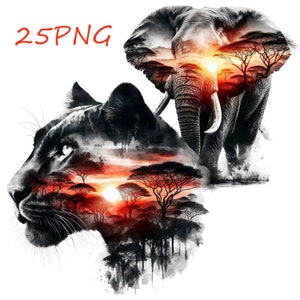 African wildlife images, wild animals. Ideal for teaching and printing on any subject. 25 PNG with transparent background