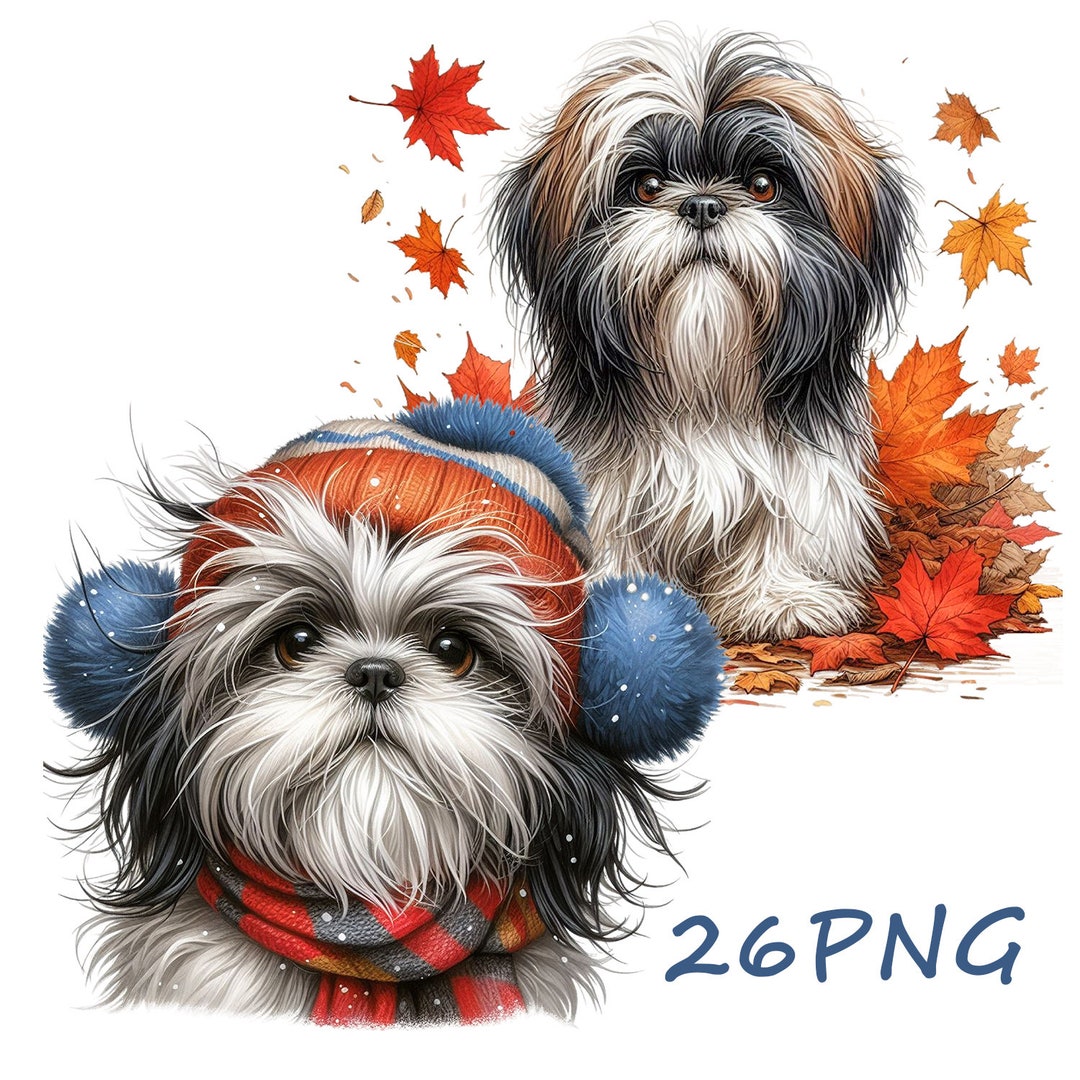 Shih Tzu Clipart: Funny Dog PNG Images (26 Transparent Backgrounds) - Etsy