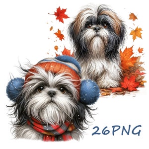 shih tzu  аmazing , funny dogs, for your creativity, can be printed on any objects, 26 PNG with transparent background