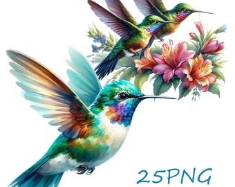 Hummingbird Clipart: 25 PNG Images, Transparent Background (Digital Download)