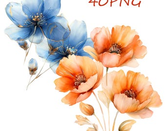 Watercolor Flower Clipart: 40 PNG Floral Illustrations (Digital Download)