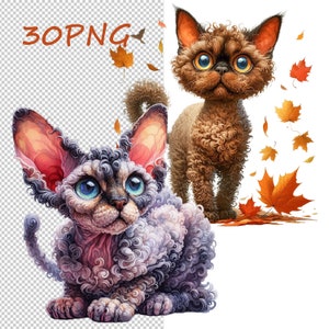 Devon Rex Cat Clipart: Transparent PNG Images (Digital Download)