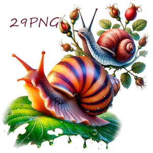 Puede incluir: Dos caracoles, uno con una concha marr&oacute;n y naranja y el otro con una concha roja y azul, est&aacute;n sobre una hoja verde con bayas rojas y hojas verdes en el fondo.