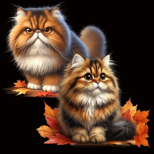 Gato Munchkin: Patas cortas, imágenes PNG únicas (descarga digital) imagen 6