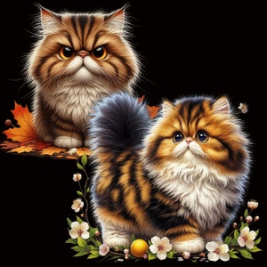 Gato Munchkin: Patas cortas, imágenes PNG únicas (descarga digital) imagen 4