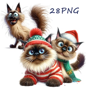 Images funny of Siamese cats, unusual charm, for your creative activities, for printing on clothes 28 PNG images with transparent background