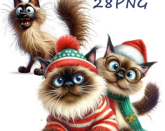 Funny Siamese Cat Clipart: 28 PNG Images (Digital Download)