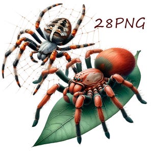 Pode incluir: Duas aranhas, uma com um corpo estampado em branco e preto e pernas laranja, a outra com um corpo estampado em vermelho e preto e pernas laranja, em uma folha verde. A aranha com o corpo estampado em branco e preto est&aacute; em uma teia.