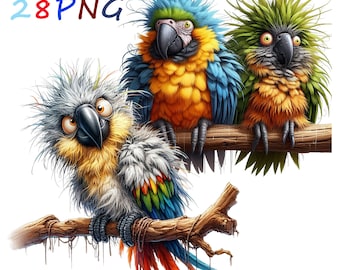 Loro gracioso PNG Clipart: 28 imágenes transparentes (descarga digital)