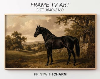 Samsung Frame TV Art Vintage Black Horse Oil Painting Equestrian Digital Download 4K